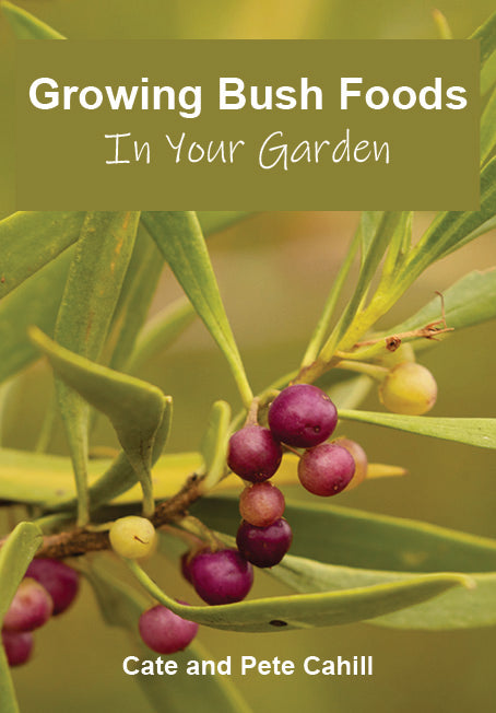 Growing Bush Food In Your Garden